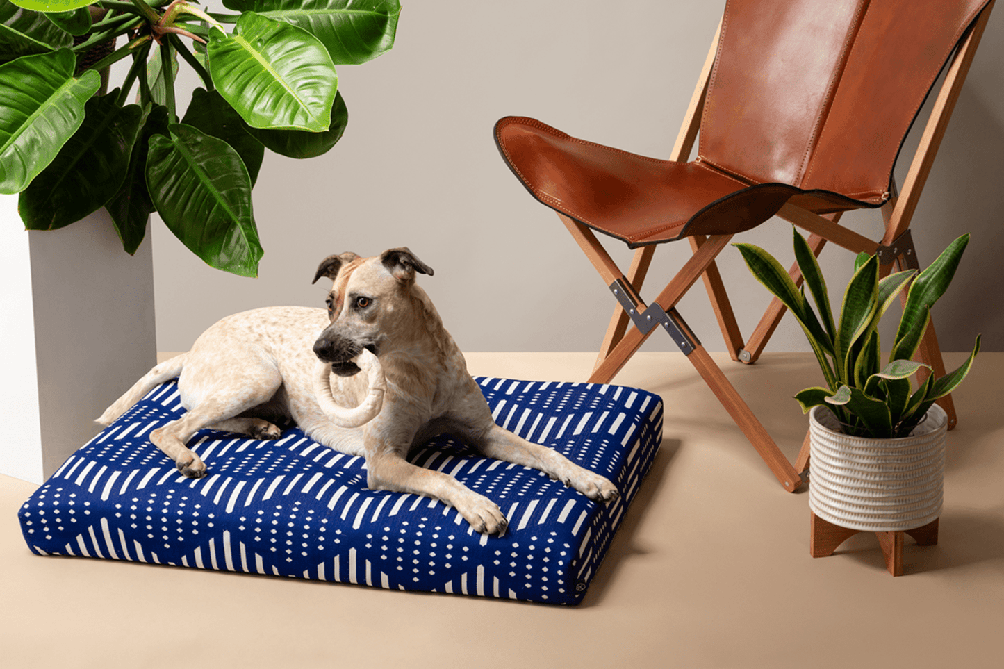 Boho Dog Bed by Laylo