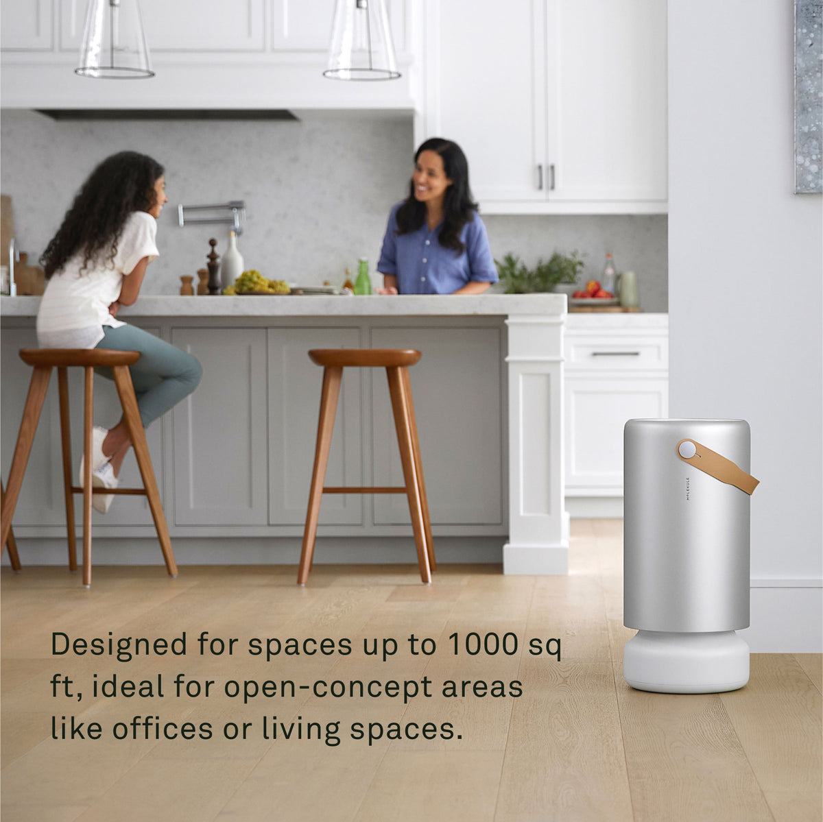 Molekule Air Pro with PECO-HEPA Tri-Power Filter