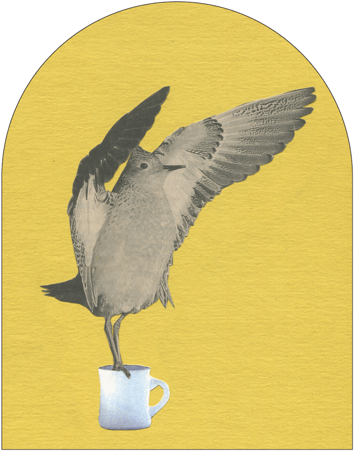 Founder's Blend