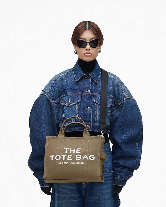 Medium Traveler Tote (Slate Green) & Snapshot (Rose Multi) Duo