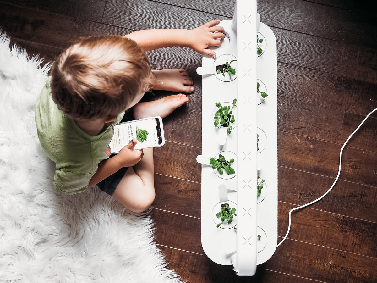 The Smart Garden 9