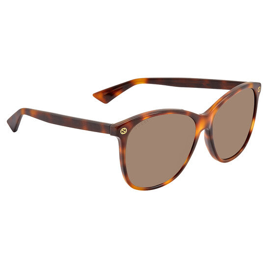 Ladies Oversize Round Sunglasses