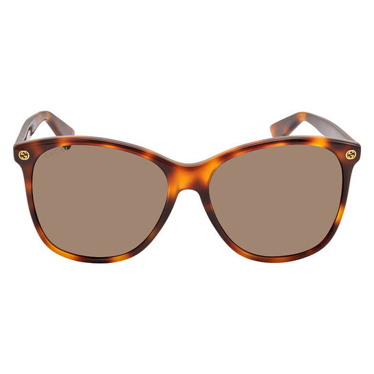 Ladies Oversize Round Sunglasses