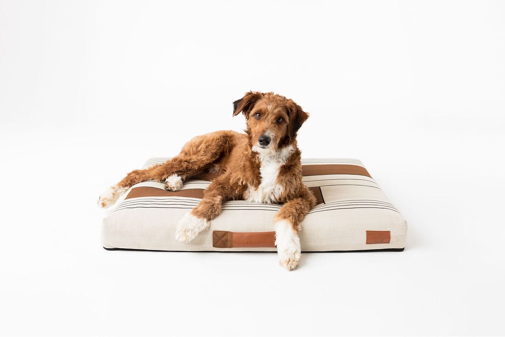 John Legend Dog Bed by Laylo