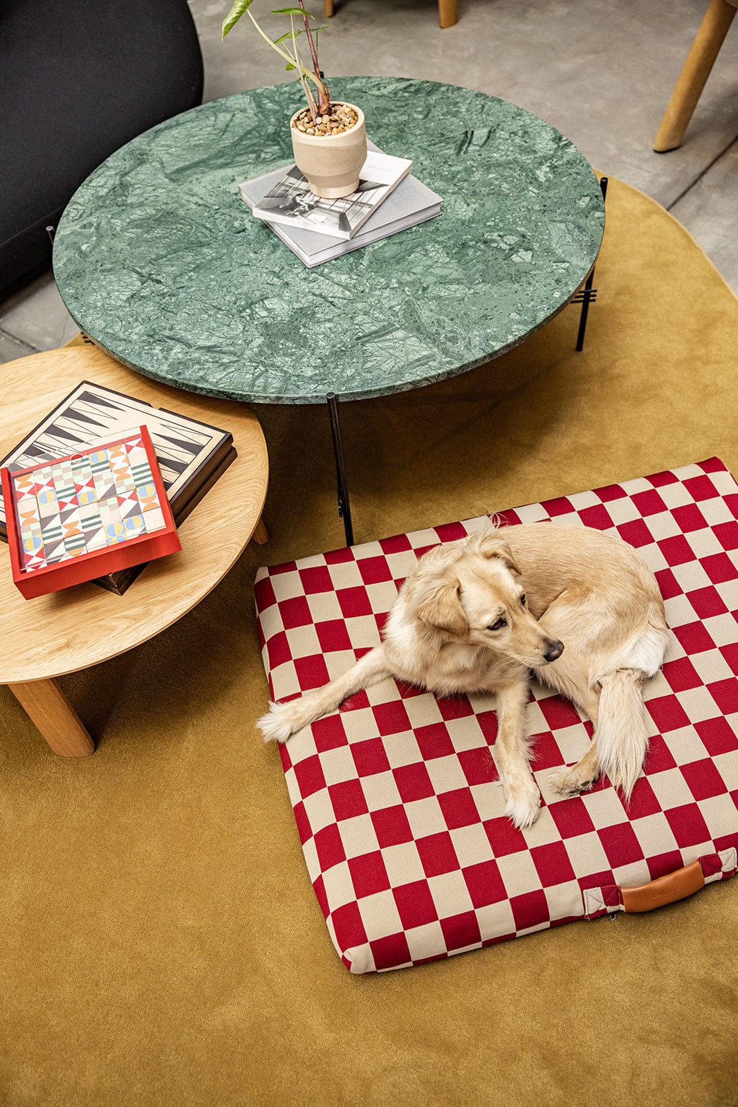 Checker Dog Bed by Laylo