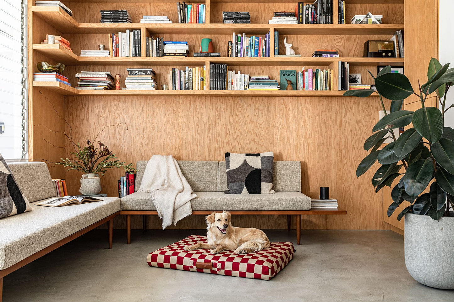 Checker Dog Bed by Laylo
