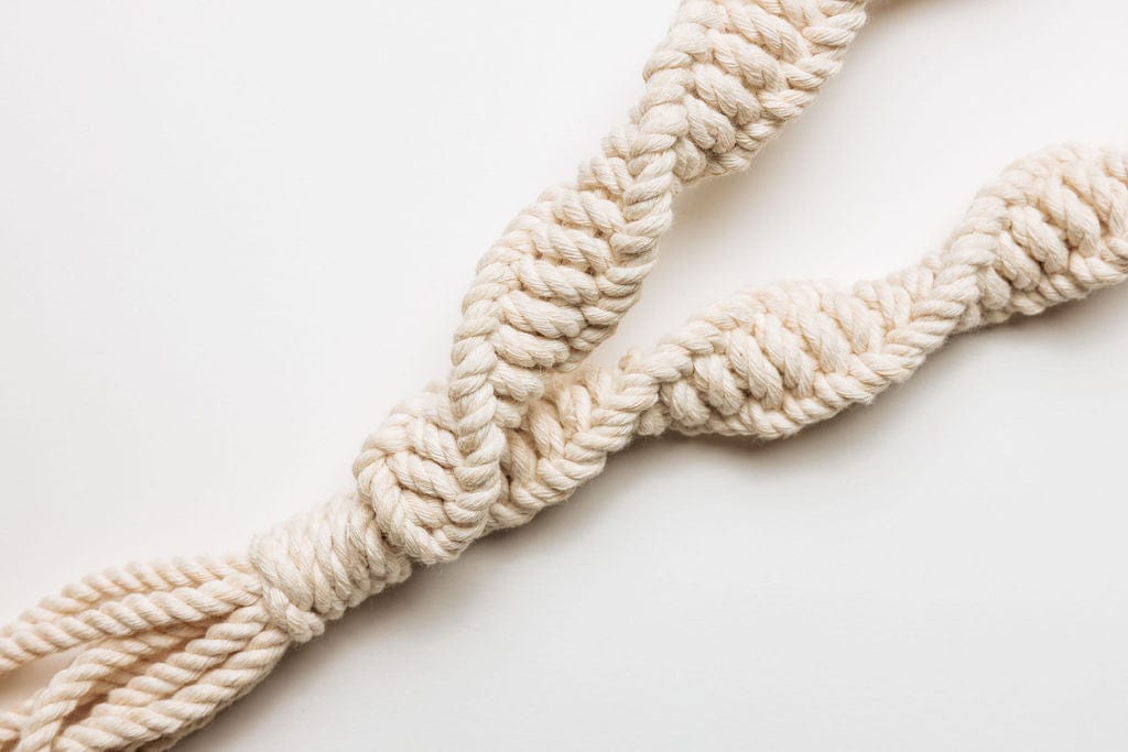 dog toy 2-pack by laylo