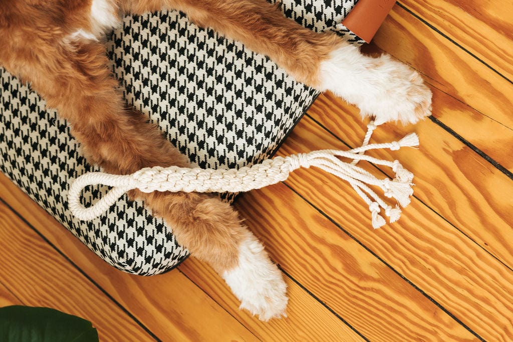 dog toy 2-pack by laylo