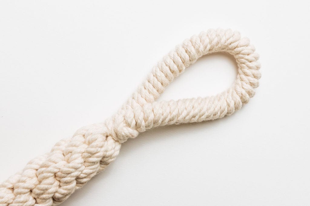 dog toy 2-pack by laylo