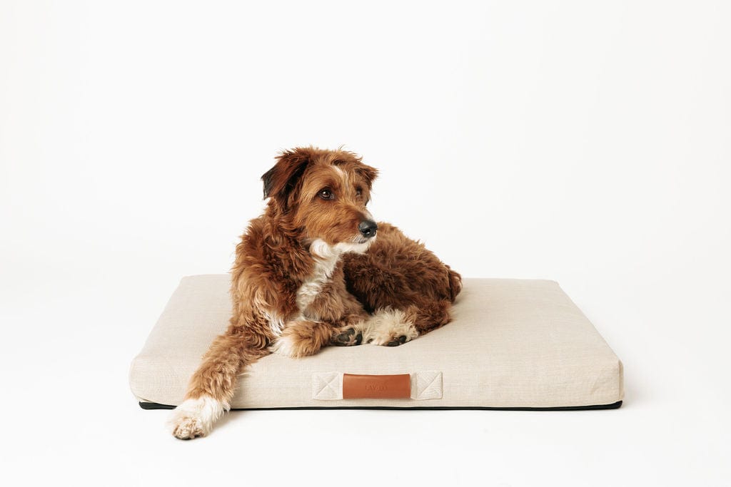 Modern Dog Bed by Laylo