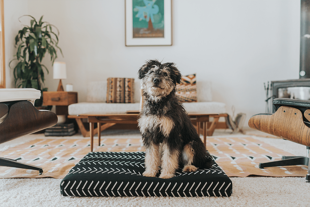 Boho Dog Bed by Laylo