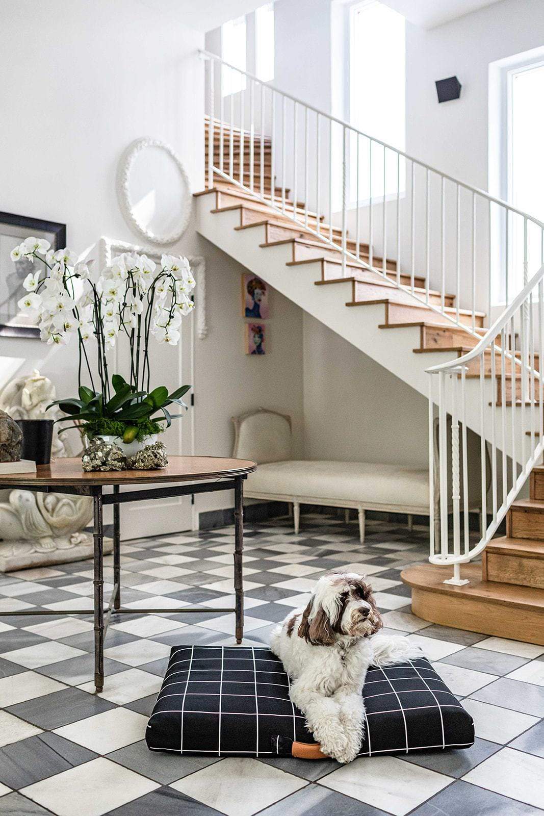 Grid Dog Bed by Laylo
