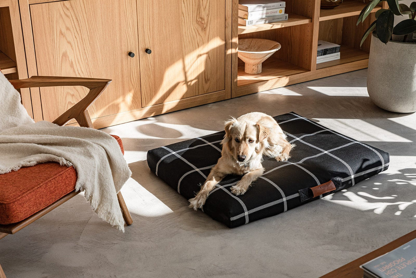 Classic Dog Bed by Laylo