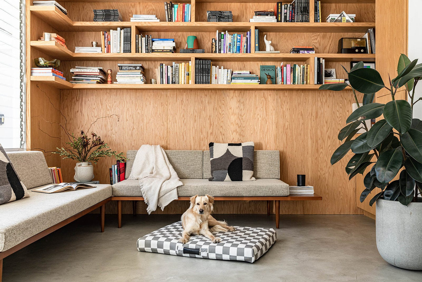 Checker Dog Bed by Laylo