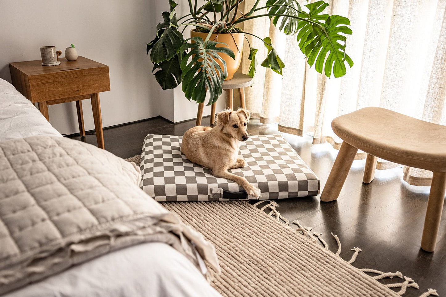 Checker Dog Bed by Laylo