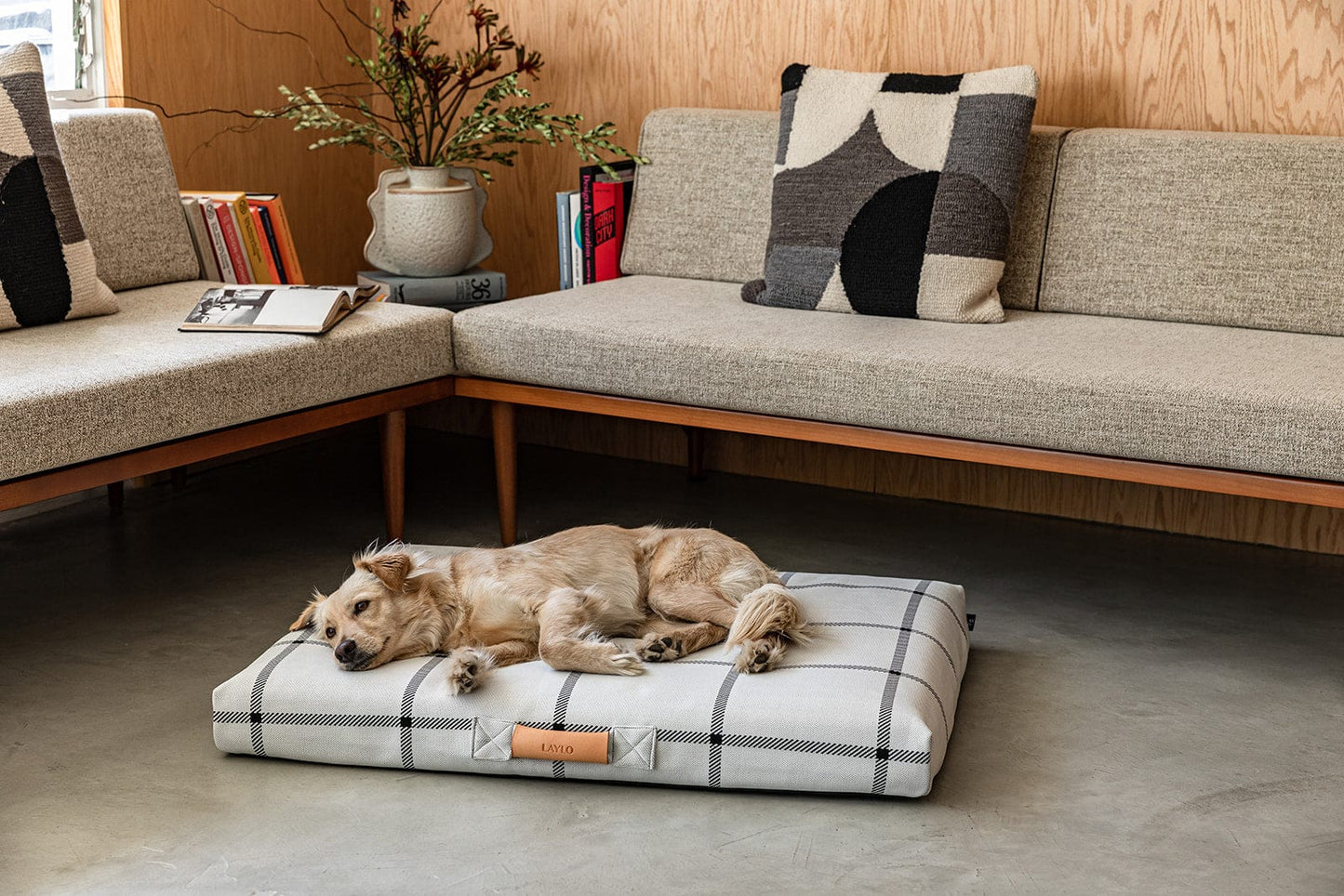 Classic Dog Bed by Laylo