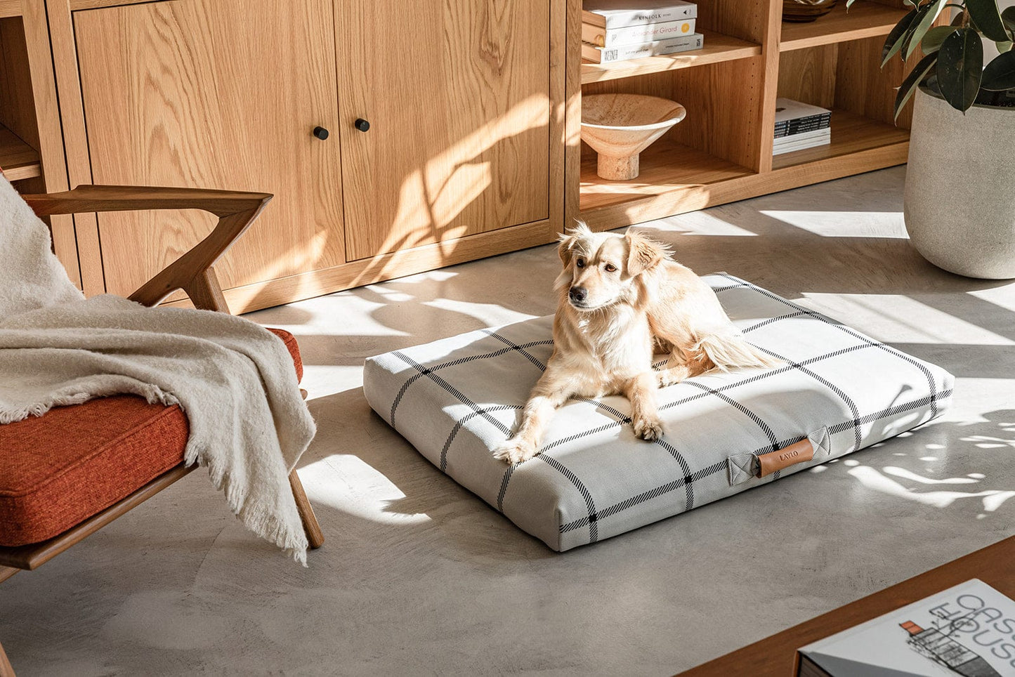 Classic Dog Bed by Laylo