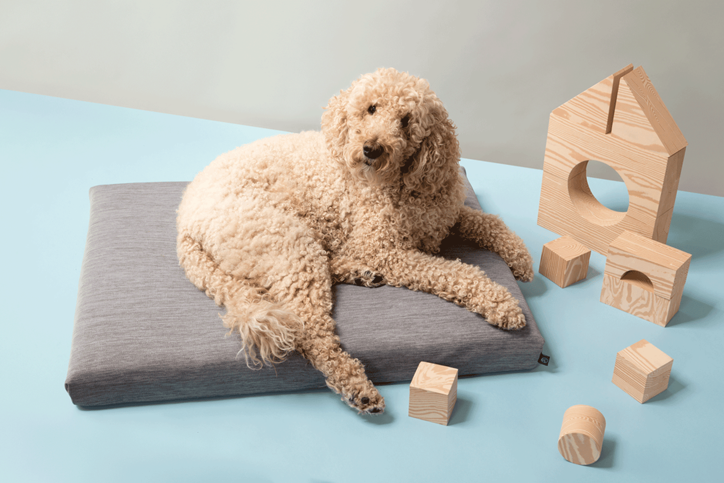 Modern Dog Bed by Laylo