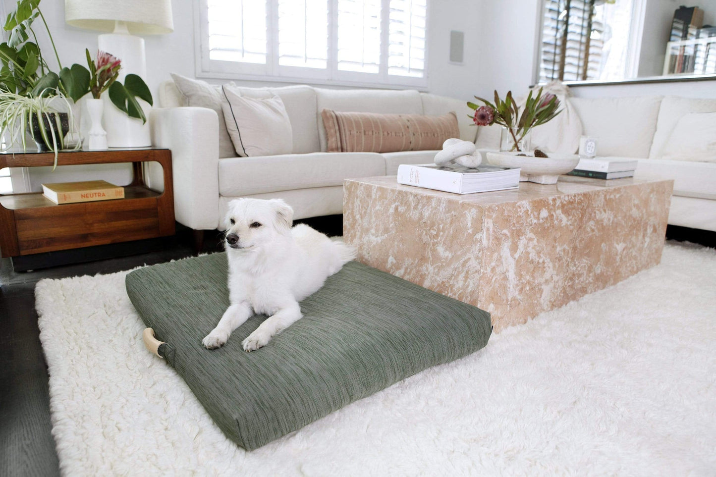 Modern Dog Bed by Laylo