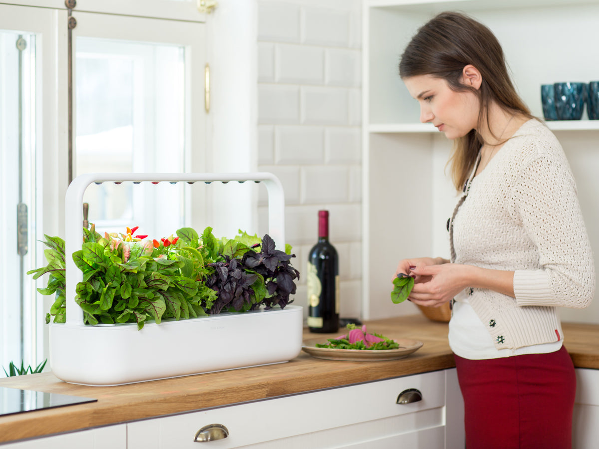 The Smart Garden 9