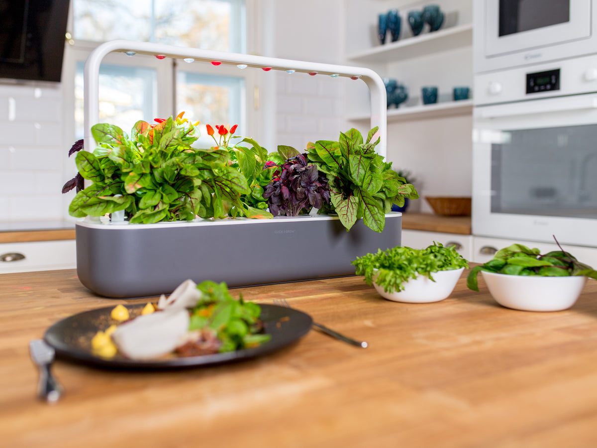 The Smart Garden 9