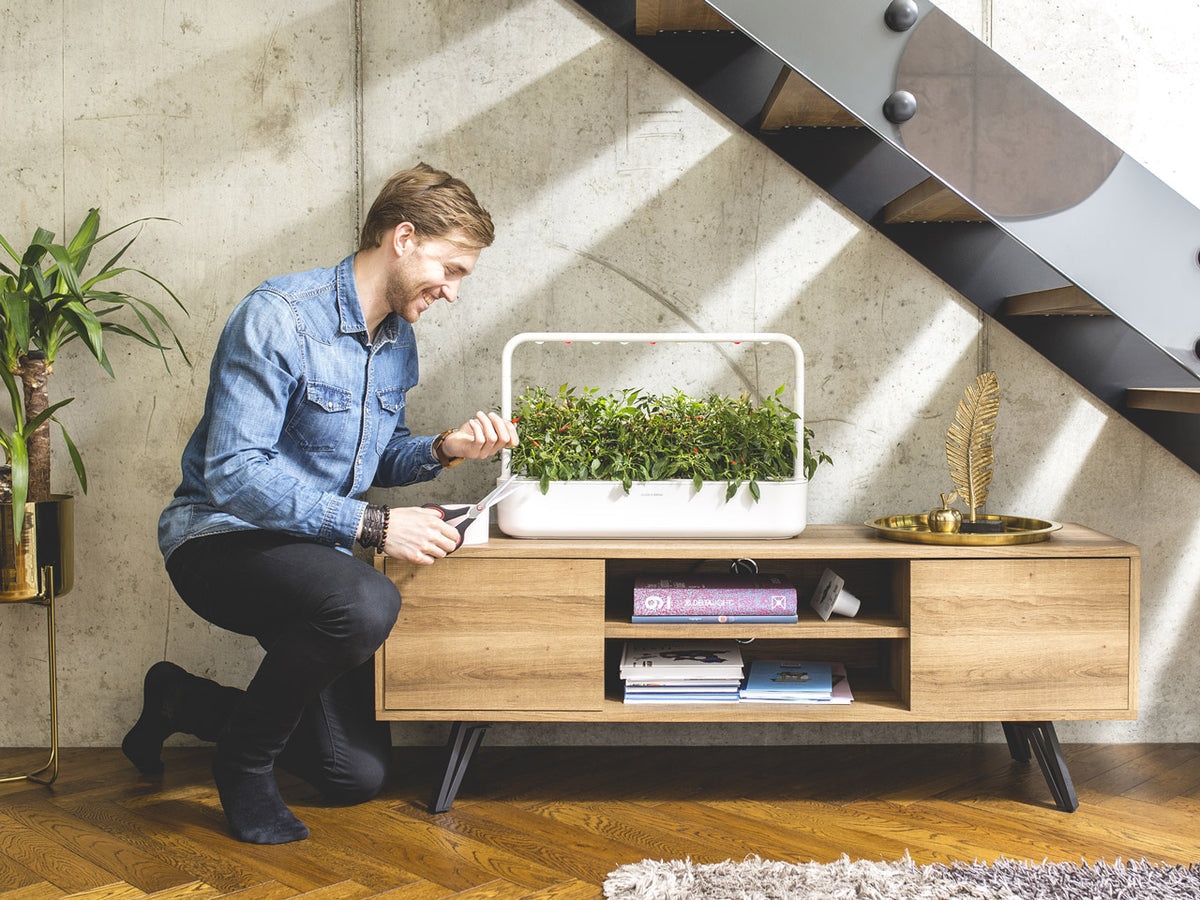The Smart Garden 9