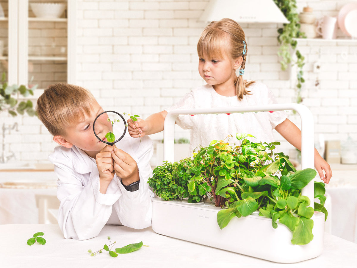 The Smart Garden 9